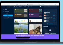 10 Best Tumblr Alternatives For Free To Use 13