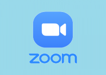 Fix Zoom Camera Not Working