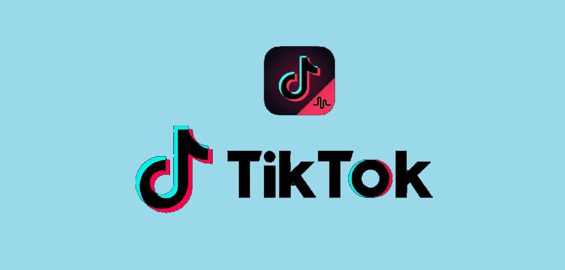 Making Use of TikTok Algorithm