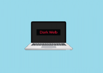 The Dark Web – What is the Dark Web and What Type of People Use it? 21 The Dark Web – What is the Dark Web and What Type of People Use it? 8