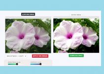 7 Best Free Sites to Sharpen Image Online 40 Best Free Sites to Sharpen Image Online