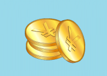 How well did the Chinese take the digital yuan introduction? 1