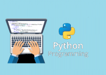 5 Reasons Why Python is the Best Option For Your Business 19 5 Reasons Why Python is the Best Option For Your Business 1