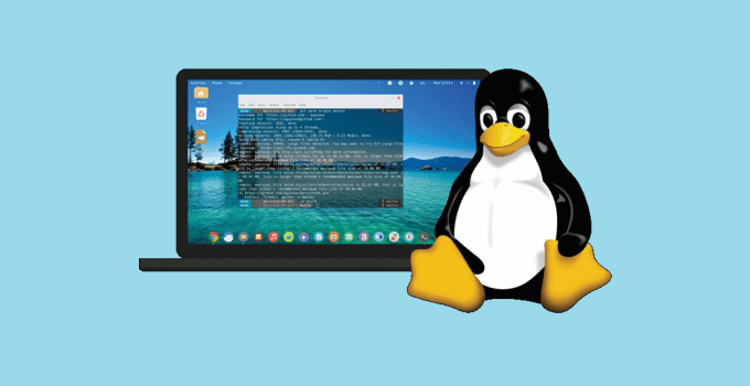 What Does Chmod 777 Command Mean? 2