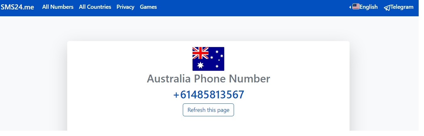 Is SMS24 Safe? Everything You Need to Know Receive SMS Online 2