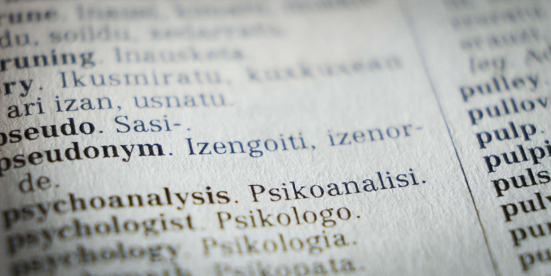 Finding Balance: How Human and Machine Translation Can Work Together 1