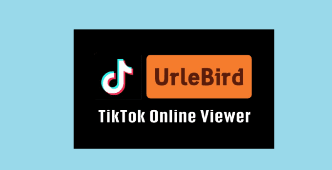 Urlebird : Anonymously TikTok Online Viewing User Profiles, Stories, Videos And Comments 4