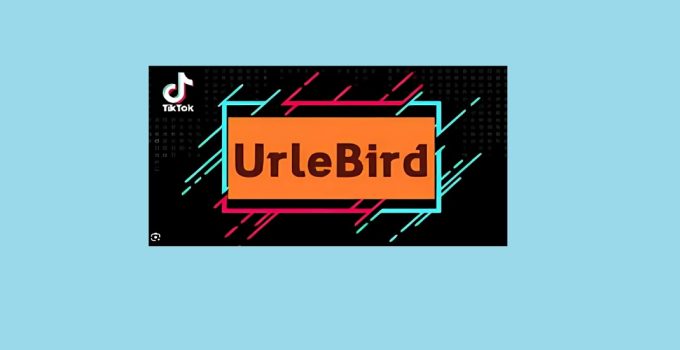 Is Urlebird TikTok Online Viewer Safe and Legal? 9