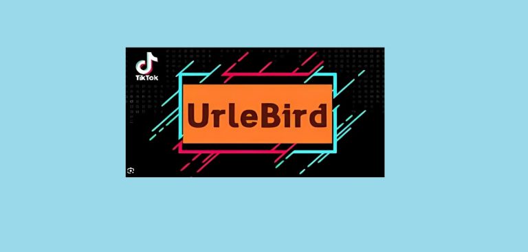 Is Urlebird TikTok Online Viewer Safe and Legal?