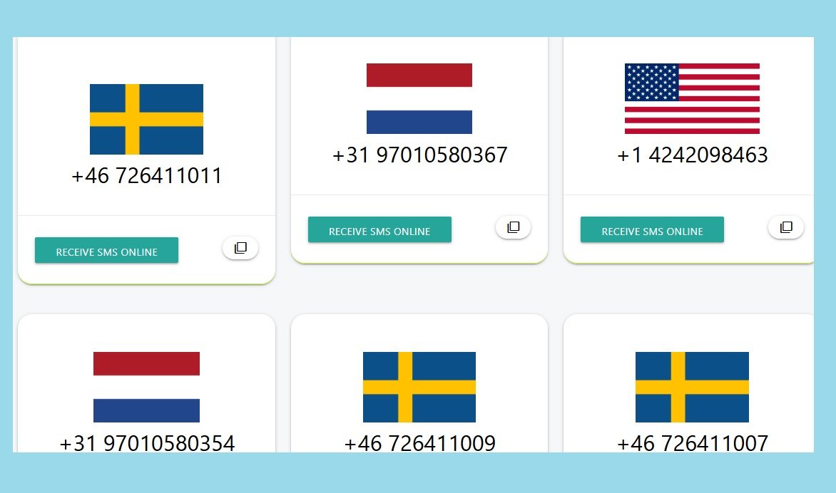 35 Best Free Sites to Receive SMS Online For Verification Without a Phone 15