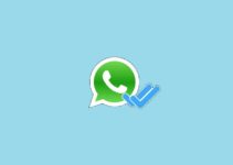 What Does the Double Check Mark Mean on WhatsApp? One or Two, Gray or Blue 5