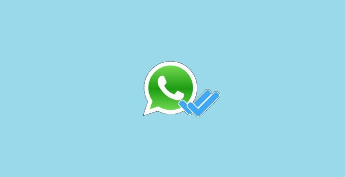 What Does the Double Check Mark Mean on WhatsApp? One or Two, Gray or Blue 6