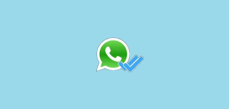 What Does the Double Check Mark Mean on WhatsApp? One or Two, Gray or Blue