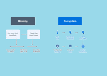 Hashing vs Encryption: What is the difference? 24 Hashing vs Encryption: What is the difference? 4