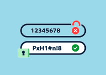 Is Password Protection the Same as Encryption? Differences in Data Security 7