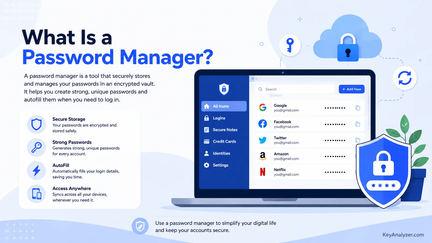 What Is a Password Manager