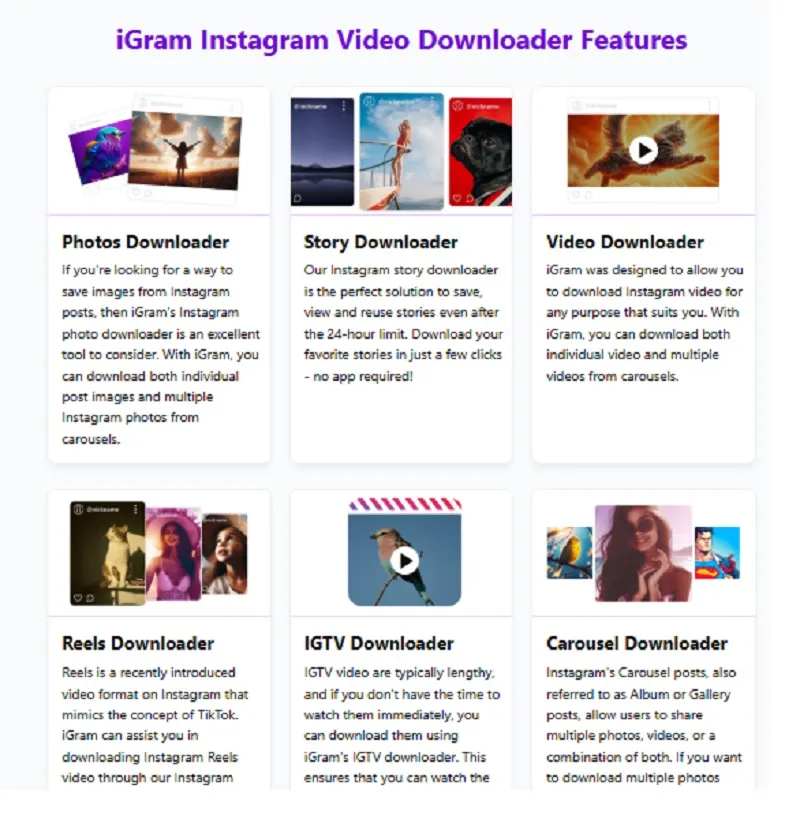 iGram Instagram Video Downloader Features